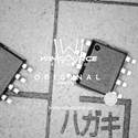 PIC12F629-I/SN real image4683