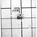 PIC12F629-I/SN real image4685