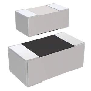 RC1005F105CS Real Image