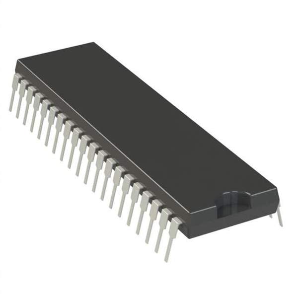 AT89C55WD-24PI Real Image