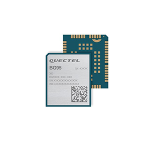 BG95M3LA-64-SGNS Real Image